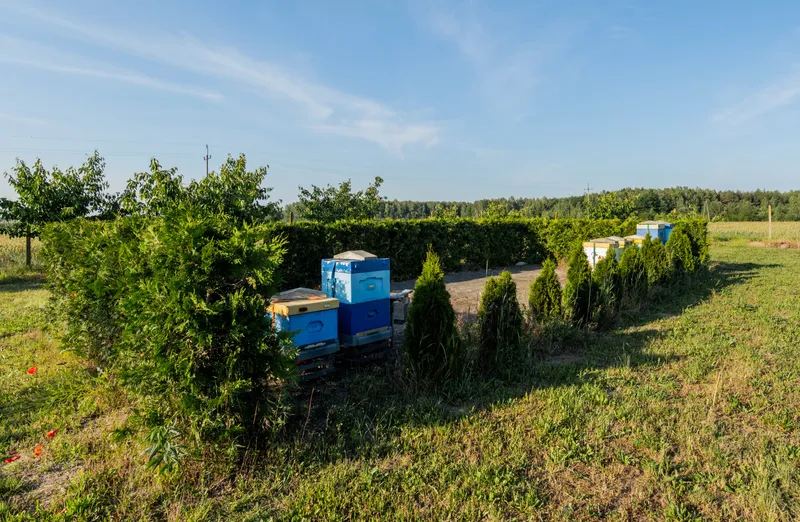 Nieruchomość przy ul. Brzozowej - Mszczonów